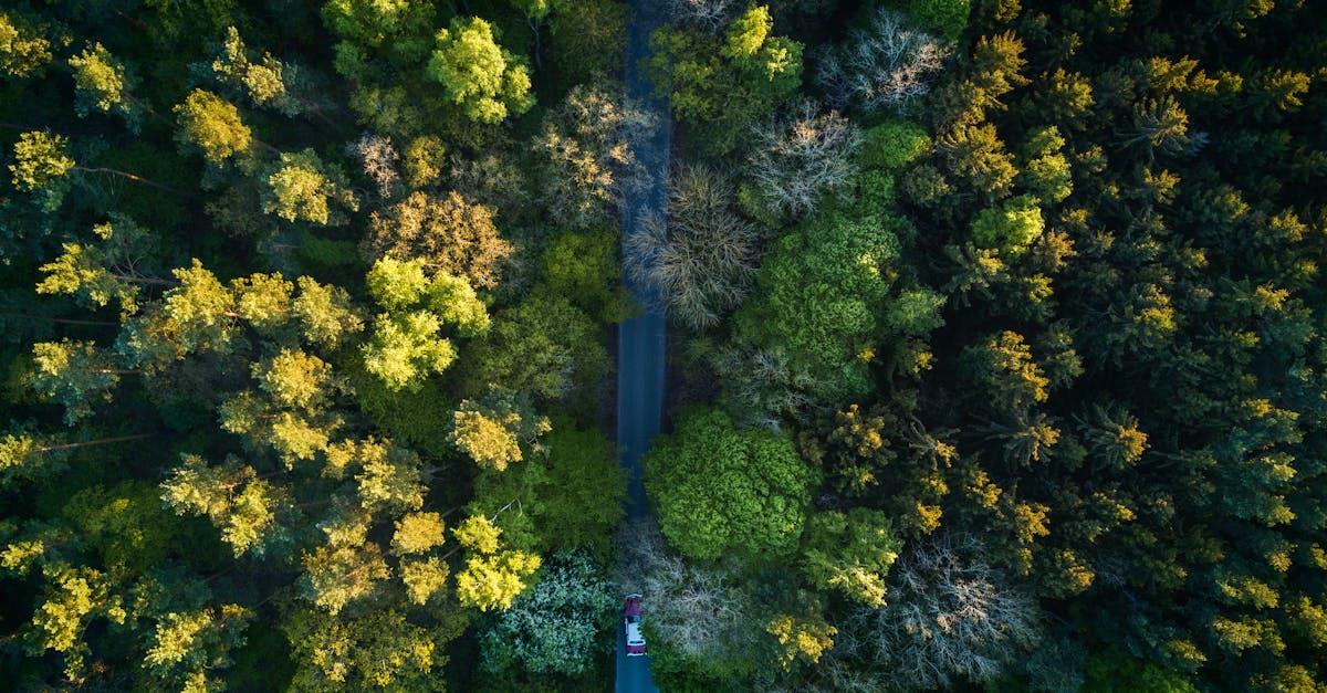 découvrez l'importance de la préservation de notre environnement et des ressources naturelles. apprenez comment protéger la biodiversité, réduire les déchets et adopter des pratiques durables pour un avenir meilleur.