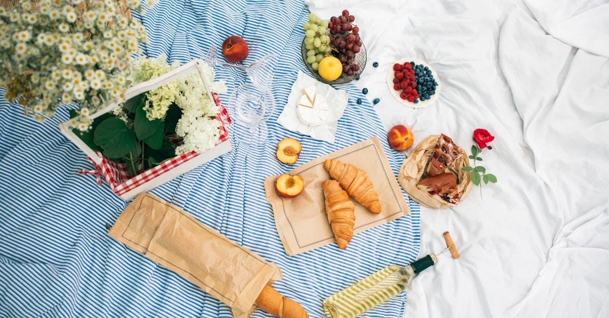 découvrez comment bien pratiquer le palissage des framboisiers pour maximiser votre récolte. apprenez les techniques, les avantages et les conseils pratiques pour un jardin prospère et des fruits savoureux.