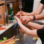 Tout Sur La Rhubarbe : Comment Choisir, Cultiver Et Déguster découvrez tout sur la rhubarbe : ses origines, ses bienfaits pour la santé, des recettes délicieuses et des astuces pour la cultiver chez vous. apprenez à apprécier ce légume savoureux au goût acidulé qui embellira vos plats et desserts.