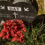 découvrez comment la dépression saisonnière affecte le bien-être mental et physique pendant les mois les plus sombres de l'année. apprenez à reconnaître les symptômes, explorez des stratégies efficaces pour surmonter cette condition et trouvez des conseils pour améliorer votre humeur et votre énergie durant les saisons difficiles.