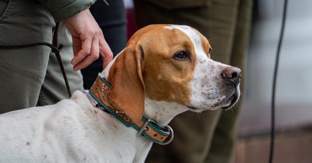 découvrez notre guide complet sur le contrôle des slugs, une technique essentielle pour optimiser vos projets web. apprenez les meilleures pratiques et conseils pour maîtriser la gestion des slugs afin d'améliorer le référencement et l'expérience utilisateur sur votre site.