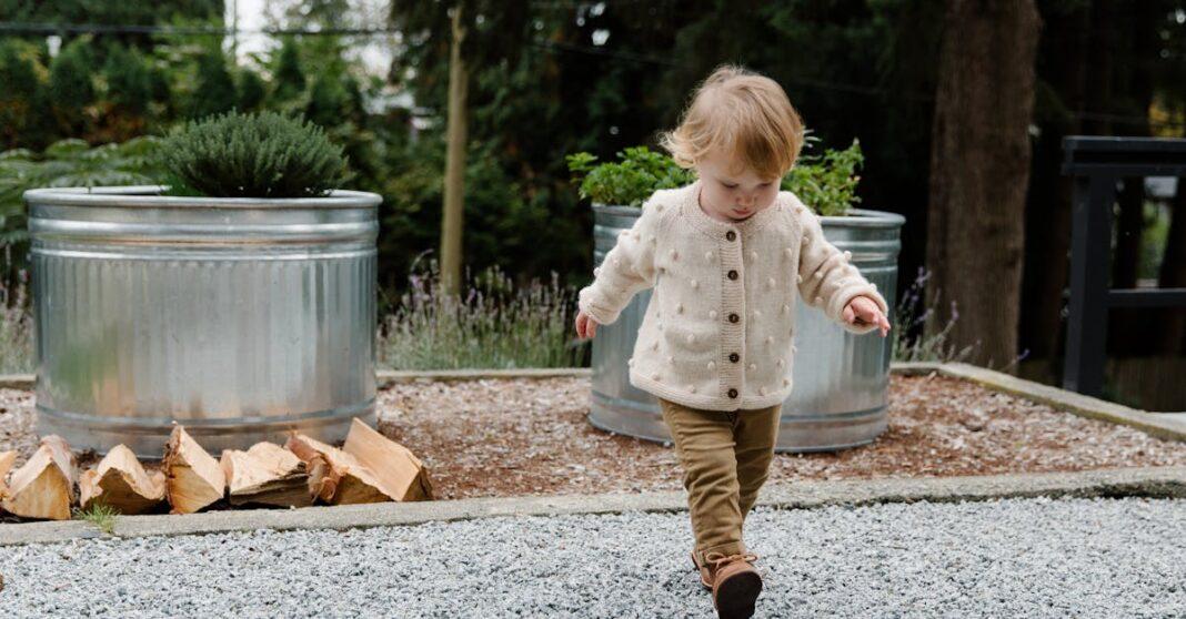 découvrez notre sélection d'arbres de jardin compacts, parfaits pour embellir les petits espaces extérieurs. apportez une touche de verdure à votre jardin avec des variétés adaptées à tous les styles, faciles à entretenir et qui prospèrent même dans des zones limitées.