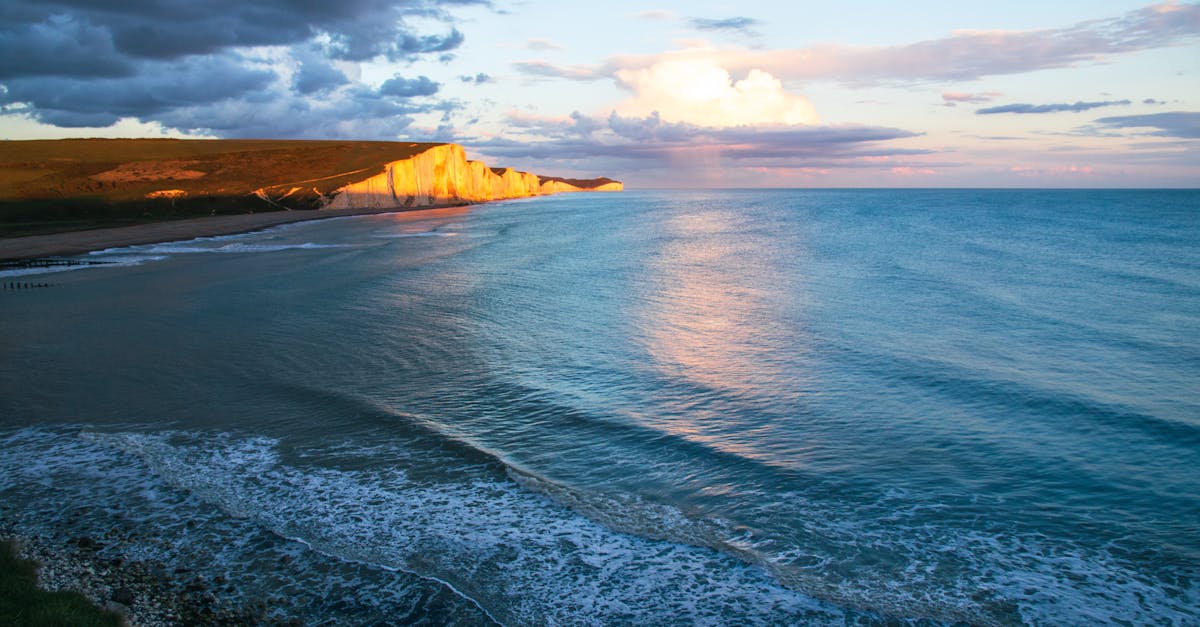 découvrez le sussex, une belle région du sud de l'angleterre, célèbre pour ses paysages pittoresques, ses charmants villages et son riche patrimoine historique. profitez des plages, des collines verdoyantes et d'une multitude d'activités culturelles et de loisirs.