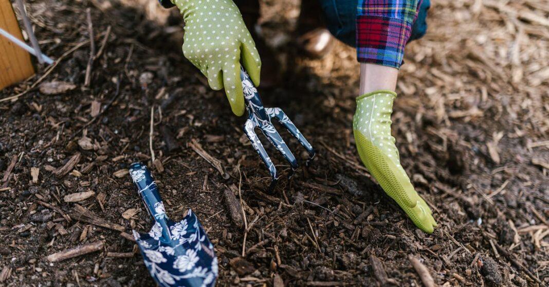 découvrez les principes du jardinage durable pour créer un espace vert écoresponsable. apprenez à cultiver vos plantes tout en préservant l'environnement grâce à des techniques respectueuses de la biodiversité et de l'écosystème.