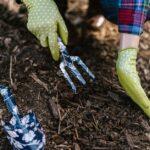 découvrez les principes du jardinage durable pour créer un espace vert écoresponsable. apprenez à cultiver vos plantes tout en préservant l'environnement grâce à des techniques respectueuses de la biodiversité et de l'écosystème.
