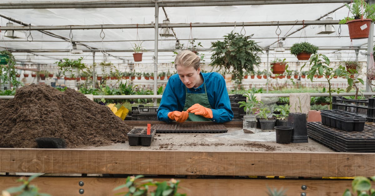 découvrez les pratiques de jardinage durable pour favoriser la biodiversité, réduire l'impact environnemental et cultiver des plantes saines. adoptez des techniques éco-responsables pour transformer votre jardin en un havre de paix respectueux de la nature.