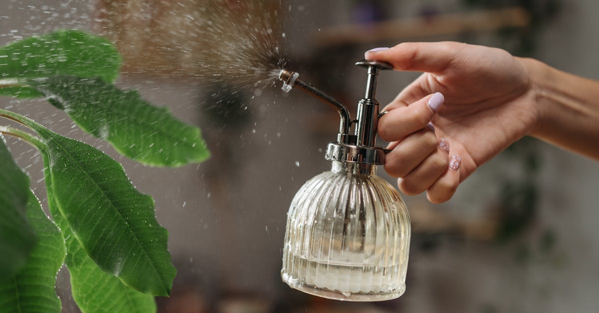 découvrez des solutions d'arrosage durables qui préservent l'eau tout en favorisant la santé de vos plantes. apprenez comment adopter des pratiques respectueuses de l'environnement pour un jardin florissant et écoresponsable.