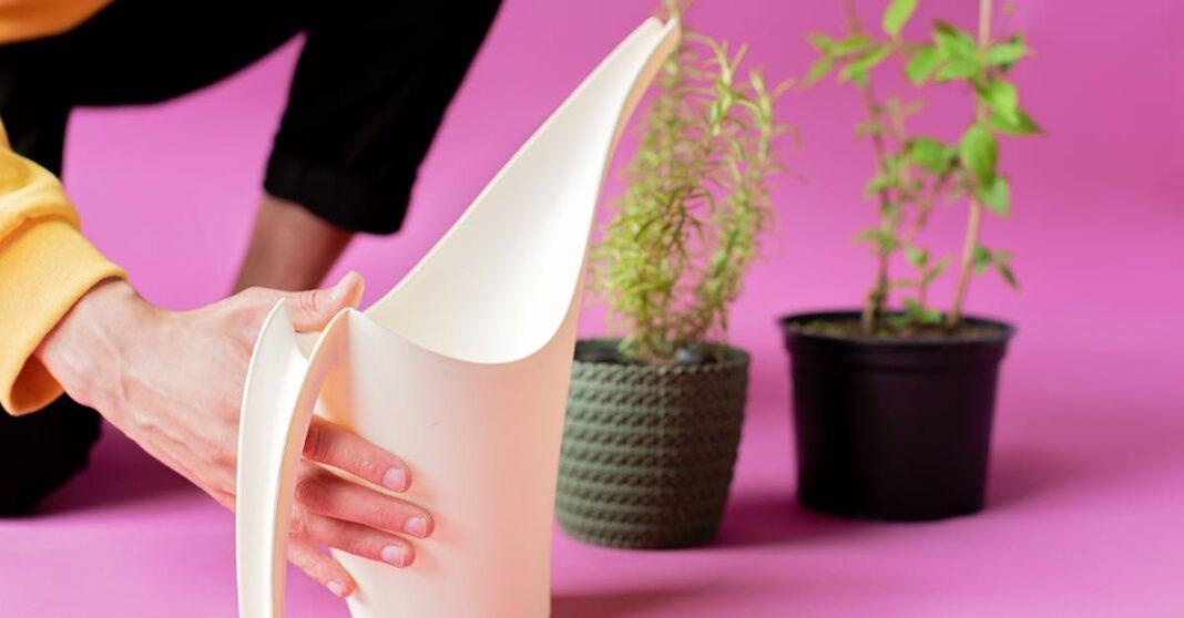 découvrez des méthodes d'arrosage durables pour jardin et plantes. optimisez l'utilisation de l'eau tout en préservant l'environnement grâce à des solutions innovantes et responsables.