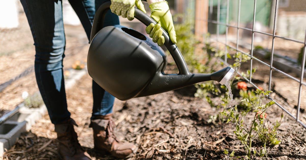 découvrez des méthodes d'arrosage durable pour préserver l'eau et favoriser la santé de vos plantes. apprenez des techniques innovantes et respectueuses de l'environnement pour un jardinage éco-responsable.