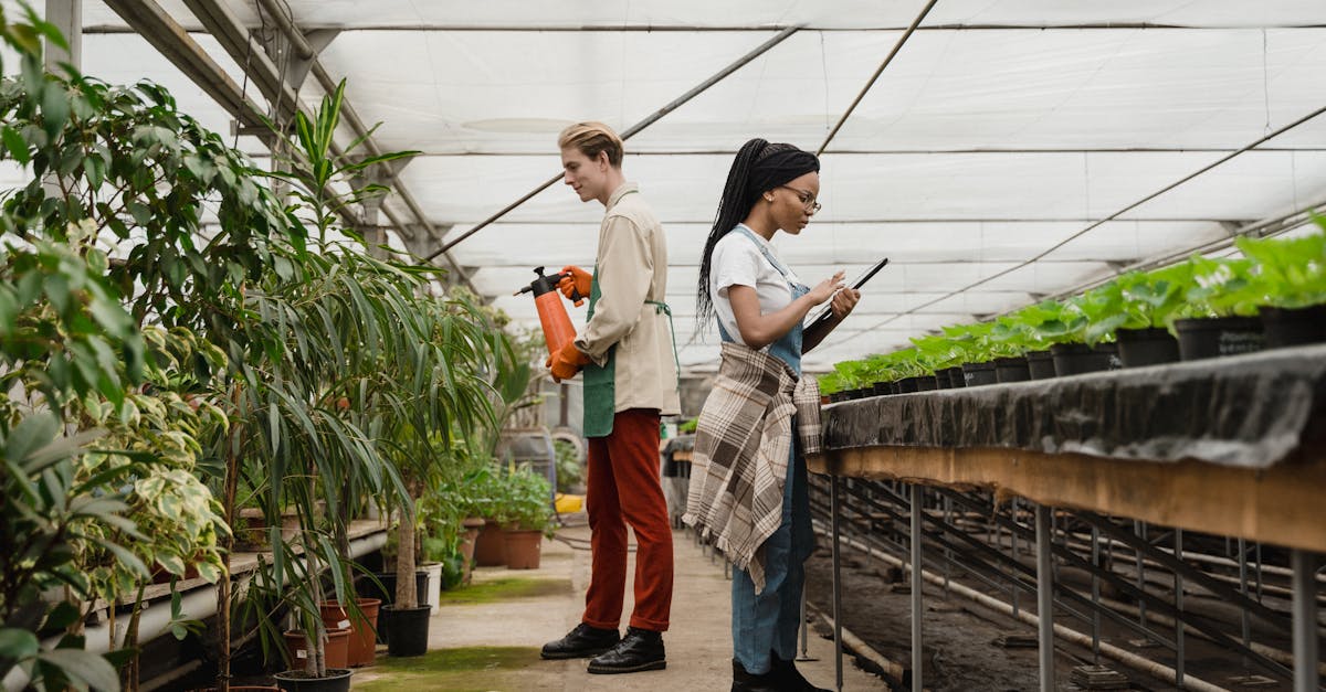 découvrez des méthodes de jardinage durables grâce à l'arrosage écologique. apprenez à économiser l'eau tout en préservant la santé de vos plantes et de l'environnement. transformez votre approche de l'arrosage avec des astuces pratiques et des outils innovants.