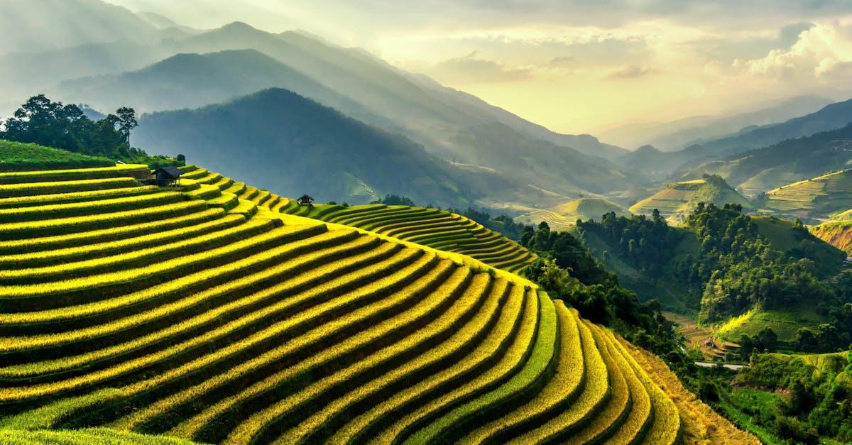 découvrez l'art de profiter de votre extérieur avec notre guide sur les terrasses. aménagement, décoration et conseils pratiques pour transformer votre espace en un havre de paix.