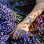 Jardin Thérapeutique : 5 Bénéfices Pour Le Bien-Être découvrez les bienfaits d'un jardin thérapeutique : un espace apaisant et revitalisant qui favorise le bien-être mental et physique. plantez vos racines dans la nature et laissez-vous transporter par les vertus healing des plantes.