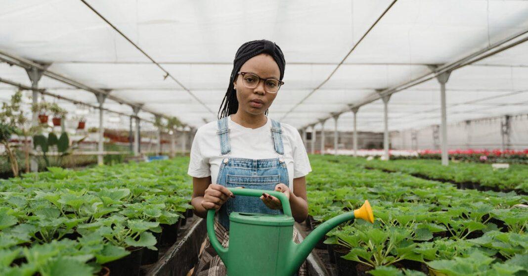 découvrez les meilleures techniques de transplantation pour garantir la santé et la croissance optimale de vos plantes. apprenez comment bien déplacer vos végétaux en préservant leurs racines et en favorisant leur adaptation à un nouvel environnement.