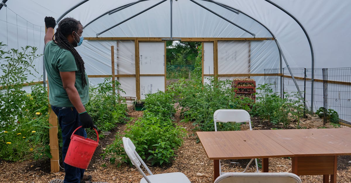 découvrez les meilleures pratiques pour le transplanting des plantes. apprenez comment réussir le transfert de vos végétaux tout en préservant leur santé et en optimisant leur croissance. des conseils essentiels pour jardiniers débutants et experts.
