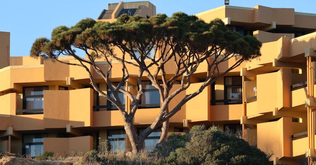 découvrez notre sealant pour arbres, une solution efficace pour protéger vos arbres des maladies et des insectes. assurez la santé et la longévité de vos végétaux avec notre produit de haute qualité, facile à appliquer et adapté à tous types d'arbres.