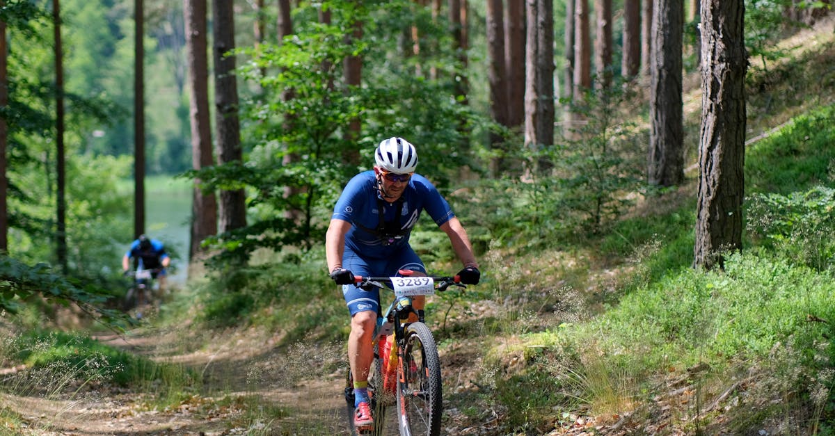 découvrez l'art de la transplantation d'arbres, une technique essentielle pour préserver la biodiversité et embellir votre espace extérieur. apprenez les meilleures pratiques, les avantages et les soins nécessaires pour garantir le succès de vos arbres transplantés.