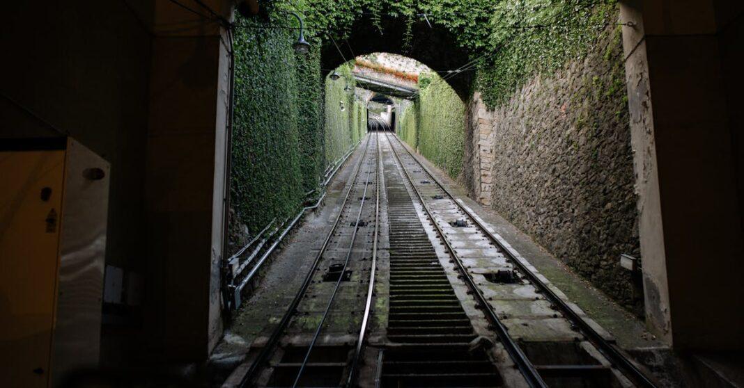 découvrez notre guide complet sur les treillis, une solution idéale pour soutenir vos plantes grimpantes tout en ajoutant une touche esthétique à votre jardin. explorez les différents types de treillis, leurs matériaux et comment les utiliser pour optimiser l'espace et la beauté de votre extérieur.