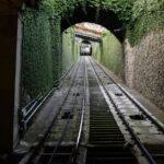 Comment installer et entretenir une treille dans votre jardin découvrez notre guide complet sur les treillis, une solution idéale pour soutenir vos plantes grimpantes tout en ajoutant une touche esthétique à votre jardin. explorez les différents types de treillis, leurs matériaux et comment les utiliser pour optimiser l'espace et la beauté de votre extérieur.