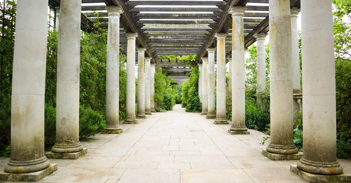 découvrez le trellis, un incontournable pour embellir votre jardin. apprenez comment cet élégant support pour plantes grimpantes apporte une touche esthétique tout en maximisant l'espace. idéal pour créer des espaces verts verticaux qui enchantent et respirent la nature.