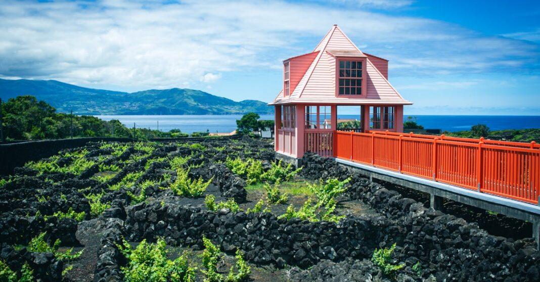 découvrez l'art du trellising, une technique essentielle pour optimiser la croissance de vos plantes grimpantes et garantir des récoltes abondantes. apprenez à créer des structures adaptées et à choisir les meilleurs matériaux pour un jardinage réussi.