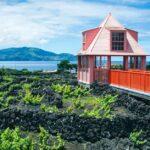 Les meilleures techniques pour faire franchir une pergola à votre vigne vierge découvrez l'art du trellising, une technique essentielle pour optimiser la croissance de vos plantes grimpantes et garantir des récoltes abondantes. apprenez à créer des structures adaptées et à choisir les meilleurs matériaux pour un jardinage réussi.