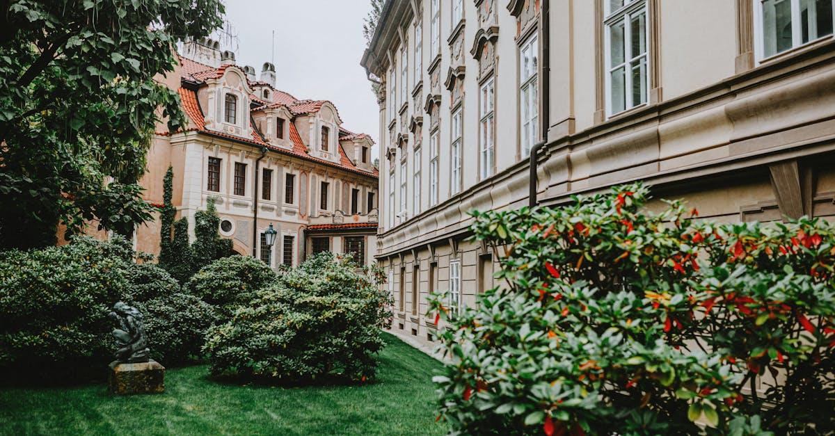 découvrez l'art du trellising, une technique essentielle pour soutenir et optimiser la croissance de vos plantes. apprenez à créer des treillis efficaces qui favorisent la lumière, améliorent la circulation de l'air et maximisent vos récoltes. transformez votre jardin avec nos conseils pratiques et astuces sur le trellising!