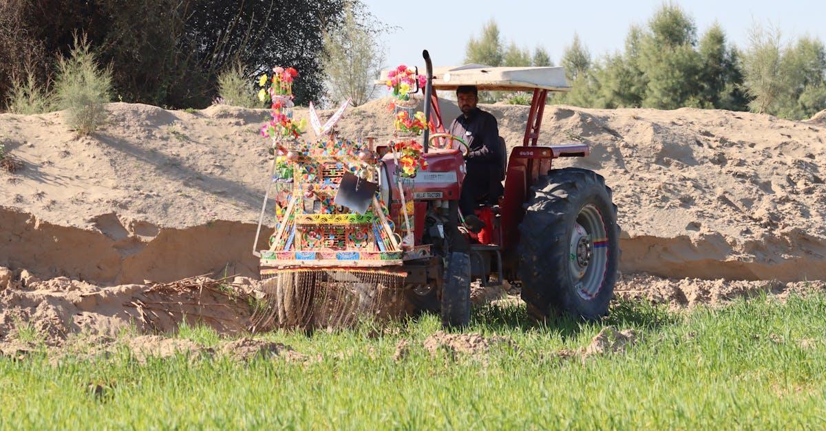 découvrez les meilleures pratiques pour la culture des navets, des conseils sur la préparation du sol à la récolte, en passant par les variétés à choisir pour un jardin florissant et une récolte réussie.