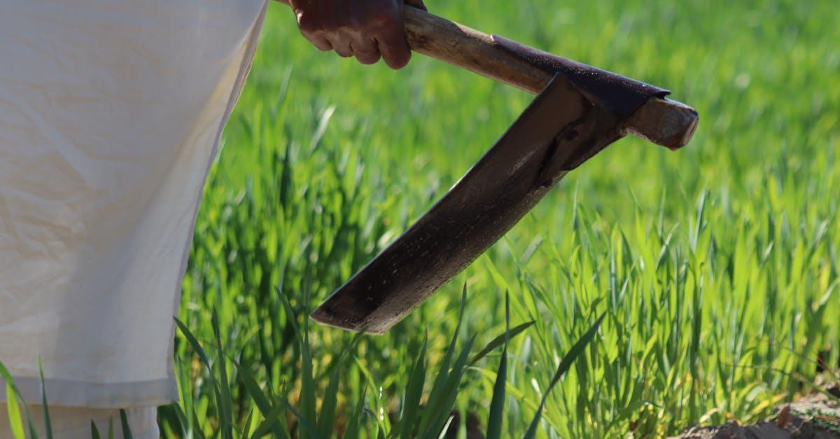 découvrez les secrets de la culture des navets : conseils pratiques, techniques de semis, entretien et récolte pour réussir votre jardin potager. apprenez à cultiver ce légume polyvalent et savoureux pour enrichir vos plats.