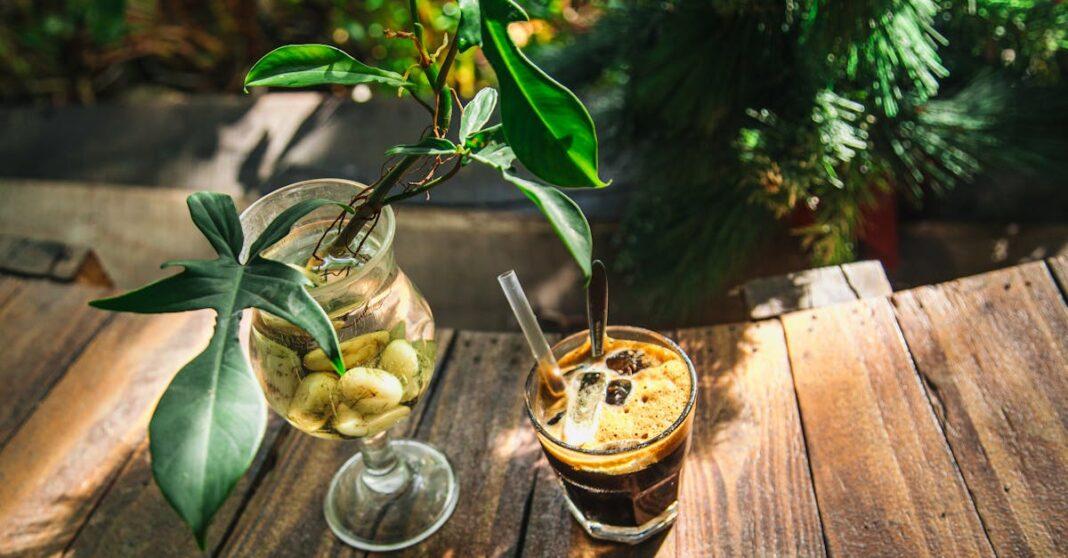 découvrez l'univers fascinant des jardins urbains, où la nature se marie harmonieusement à l'architecture moderne. apprenez à créer votre propre oasis verte en plein cœur de la ville, avec des conseils pratiques sur le choix des plantes, l'aménagement et l'entretien. transformez votre balcon, terrasse ou cour en un espace de détente et de biodiversité!