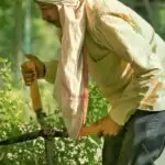 découvrez l'art du jardinage urbain : transformez vos petits espaces en oasis verdoyantes. apprenez des techniques innovantes pour cultiver des plantes, des légumes et des herbes sur vos balcons, terrasses ou toits, tout en améliorant l'esthétique de votre environnement. que vous soyez débutant ou passionné, explorez des conseils pratiques et des idées inspirantes pour faire fleurir la ville.