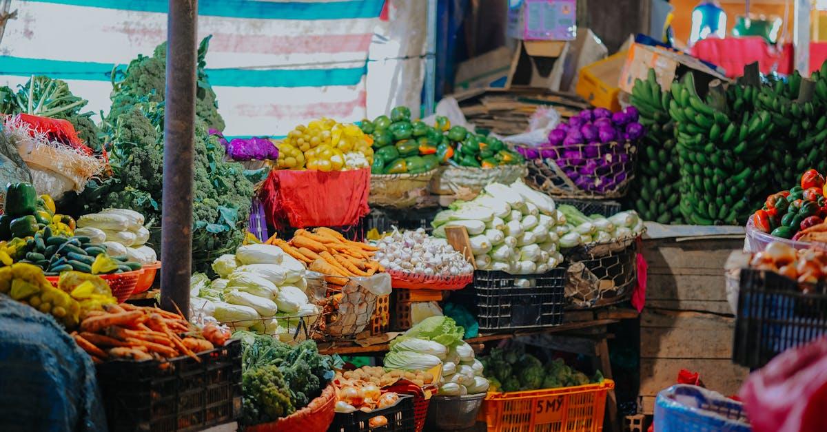 découvrez un monde coloré de légumes nutritifs ! apprenez comment incorporer une variété de légumes frais dans votre alimentation quotidienne pour améliorer votre santé et votre bien-être. recettes savoureuses, conseils de conservation et bienfaits des légumes : tout ce qu'il faut savoir pour profiter pleinement de ces trésors de la nature.