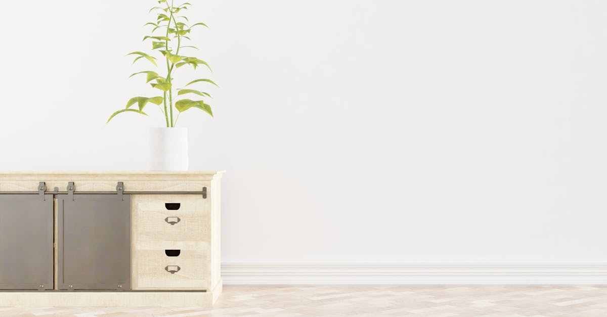 découvrez les plantes polyvalentes qui embellissent votre intérieur tout en s'adaptant à différents environnements. apprenez à choisir des espèces qui non seulement décorent, mais purifient également l'air et apportent une touche de nature à votre quotidien.