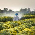 Petits Trucs Pour Un Arrosage Réussi : 7 Gestes Simples découvrez l'art d'arroser vos plantes pour assurer leur croissance et leur santé. apprenez des techniques d'irrigation efficaces et des conseils pratiques pour un jardin florissant.