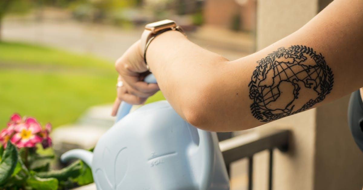 découvrez l'importance de l'arrosage pour votre jardin. apprenez des techniques efficaces pour garder vos plantes en bonne santé et prospères tout au long de l'année.