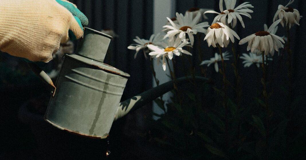 découvrez notre sélection de galvaniseurs de qualité pour arroser vos plantes avec élégance et efficacité. idéals pour le jardinage, nos arrosoirs allient style et fonctionnalité, assurant une distribution parfaite de l'eau pour vos fleurs et légumes.