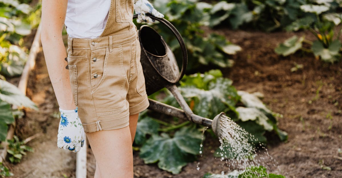 découvrez notre sélection d'arrosoirs pratiques et esthétiques pour entretenir vos plantes avec soin. parfaits pour le jardinage intérieur et extérieur, nos arrosoirs allient fonctionnalité et design.