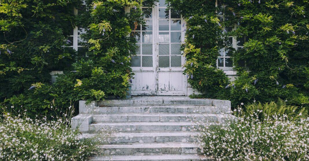 découvrez la beauté envoûtante de la glycine (wisteria), une plante grimpante aux fleurs suspendues et parfumées. apprenez à cultiver et entretenir cette plante majestueuse qui embellira votre jardin avec ses tons violets et ses grappes florales luxuriantes.