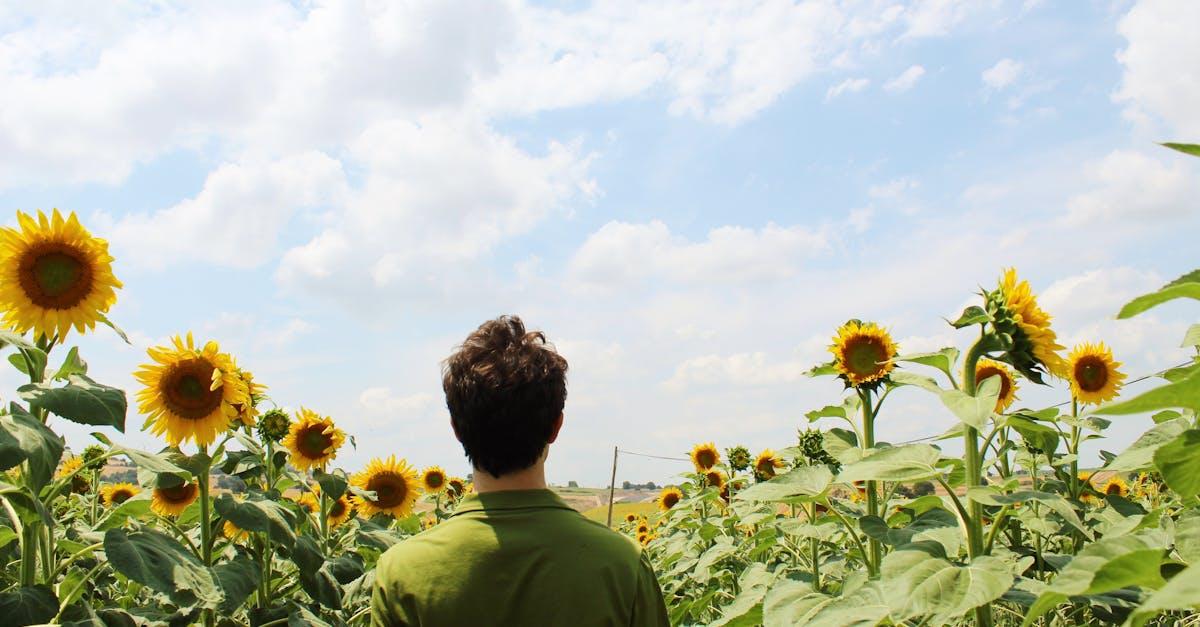 découvrez les plantes aériennes, ces merveilles de la nature qui ne nécessitent pas de terre pour s'épanouir. apportez une touche d'originalité à votre intérieur avec ces plantes faciles d'entretien, parfaites pour toutes les décorations et espaces de vie.