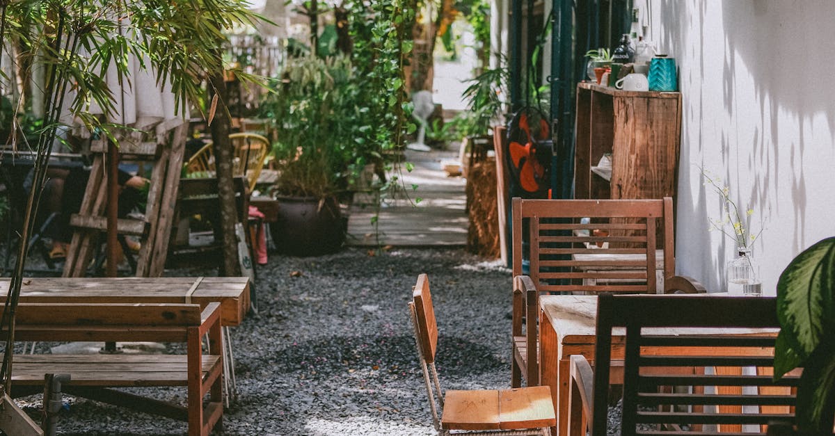 découvrez l'univers fascinant des plantes aériennes ! faciles à entretenir et idéales pour décorer votre intérieur, ces plantes étonnantes n'ont besoin que de lumière et d'humidité. apprenez à les cultiver et à sublimer votre espace avec ces merveilles de la nature.