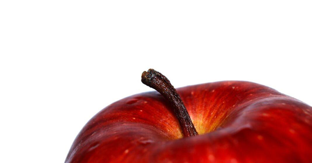 découvrez l'univers d'apple, pionnier de l'innovation technologique. des iphones aux macbooks, explorez nos produits emblématiques, services, et innovations qui façonnent la façon dont nous interagissons avec la technologie.