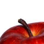 Découvrez la culture de la pomme 'Reine des Reinettes découvrez l'univers d'apple, pionnier de l'innovation technologique. des iphones aux macbooks, explorez nos produits emblématiques, services, et innovations qui façonnent la façon dont nous interagissons avec la technologie.