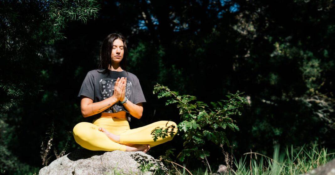 découvrez les meilleures méthodes de taille et d’entretien pour former votre pommier, optimiser sa croissance et améliorer la récolte grâce à des techniques de training adaptées à chaque variété.