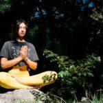 Le palissage du pommier : des méthodes simples pour réussir découvrez les meilleures méthodes de taille et d’entretien pour former votre pommier, optimiser sa croissance et améliorer la récolte grâce à des techniques de training adaptées à chaque variété.