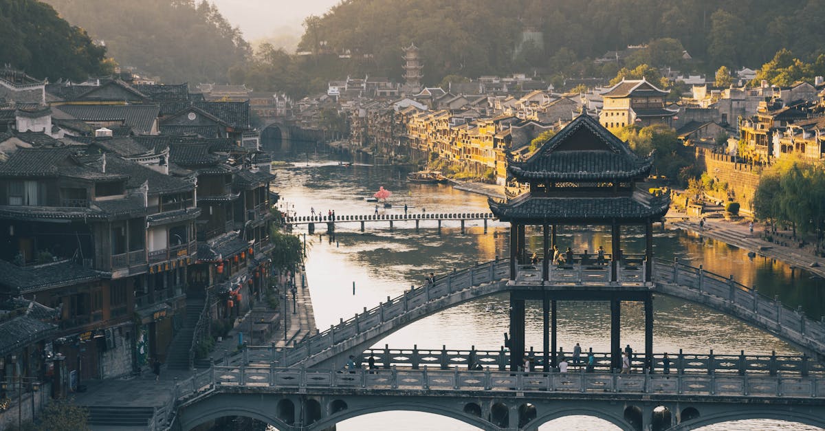 découvrez tout ce qu’il faut savoir sur le frelon asiatique : identification, dangers, impact sur la biodiversité et conseils pour s’en protéger efficacement.