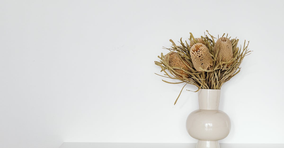 découvrez le banksia, une plante emblématique d’australie reconnue pour ses fleurs originales et ses bienfaits écologiques. apprenez-en plus sur ses différentes espèces, sa culture et ses usages.