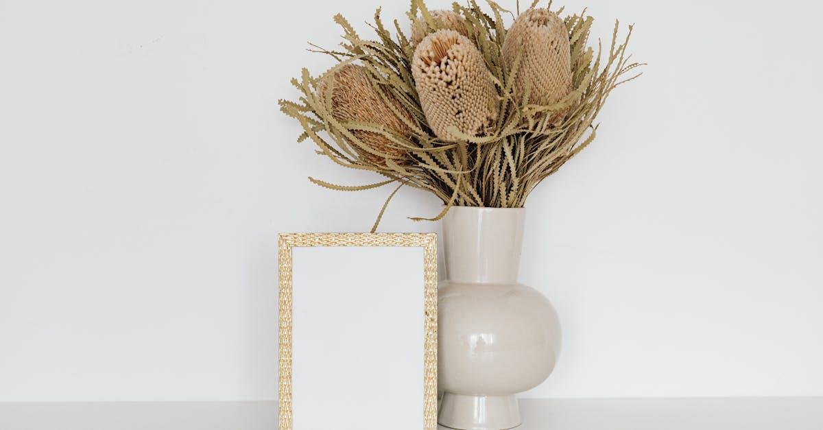 découvrez le banksia, une plante originaire d’australie reconnue pour ses fleurs spectaculaires et sa grande résistance. apprenez tout sur sa culture, ses variétés et ses astuces d’entretien pour sublimer votre jardin.