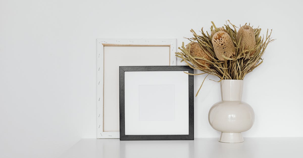 découvrez le banksia, une plante australienne fascinante reconnue pour ses fleurs uniques et colorées, idéale pour orner les jardins et favoriser la biodiversité grâce à ses propriétés mellifères.