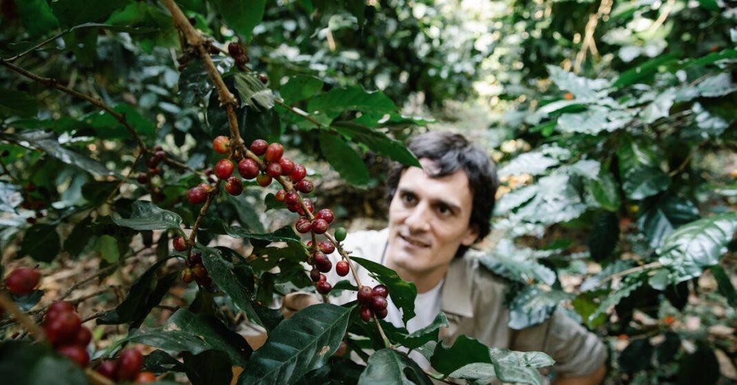 découvrez les meilleures pratiques pour la culture des haricots : semis, entretien, récolte et astuces pour obtenir une récolte abondante et saine dans votre potager.