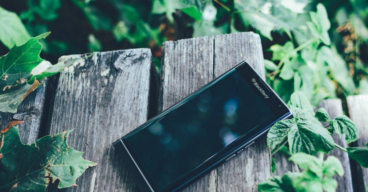 découvrez l'univers des blackberries : ces petits fruits juteux et riches en antioxydants, parfaits pour vos recettes santé. explorez leurs bienfaits, des conseils de consommation et des idées de plats savoureux.