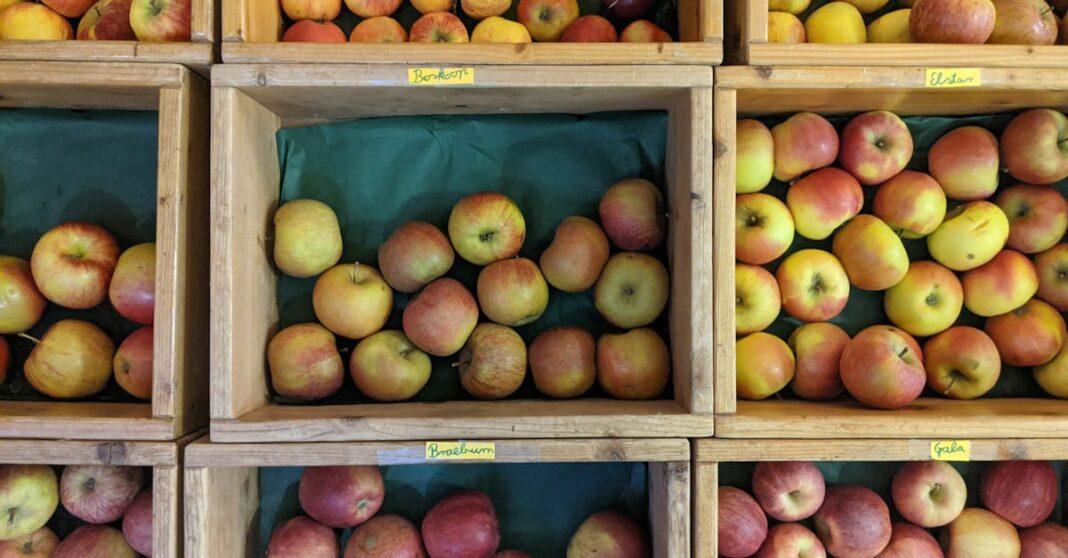 découvrez la pomme braeburn : saveur sucrée-acidulée, chair croquante, idées de recettes, saison, bienfaits et conseils de sélection et de conservation.